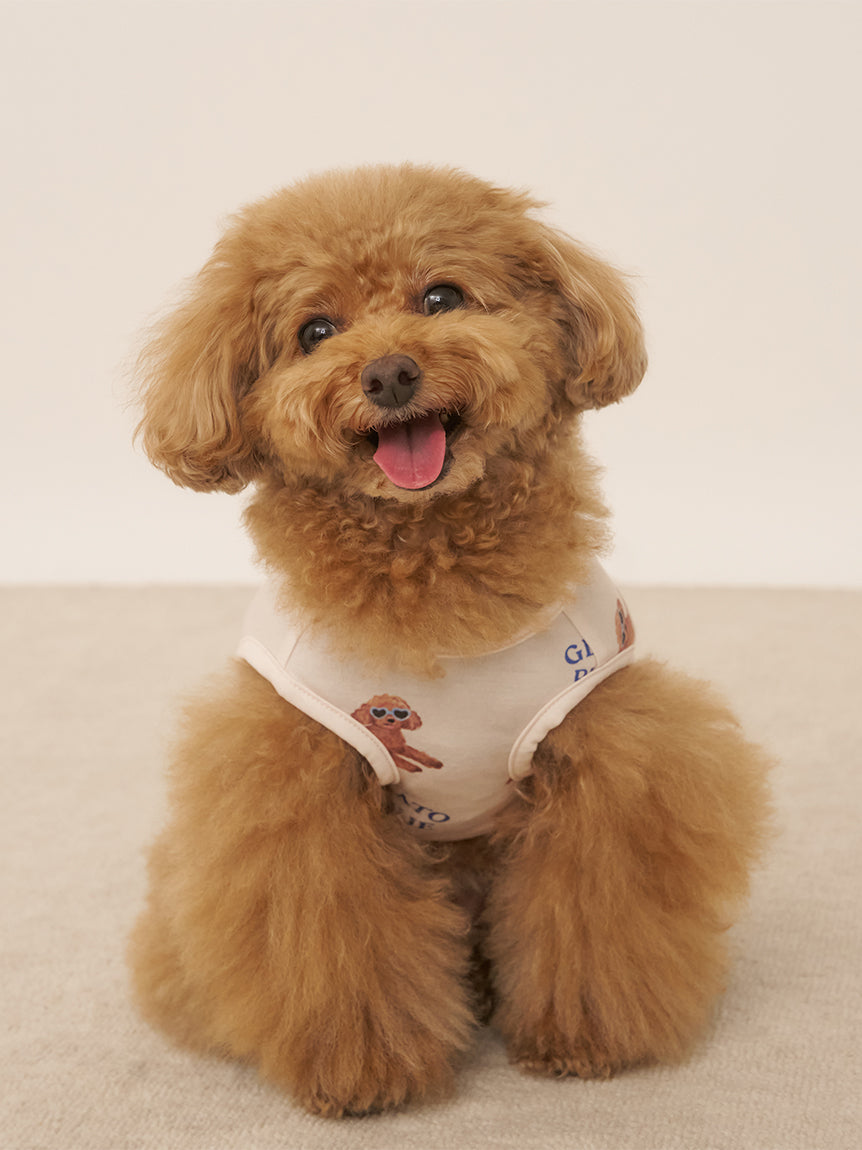 CAT&DOG Summer Toy Poddle Pet Clothes