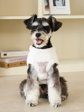 [CAT&DOG] XL-size Gelato Melange 2 Border Pet Pullover