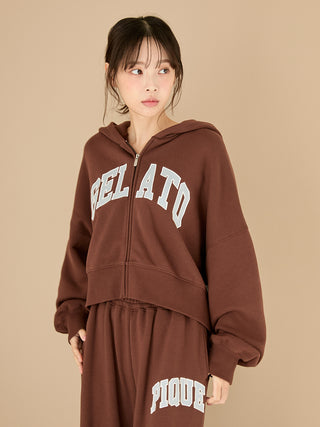 College Logo Hoodie
