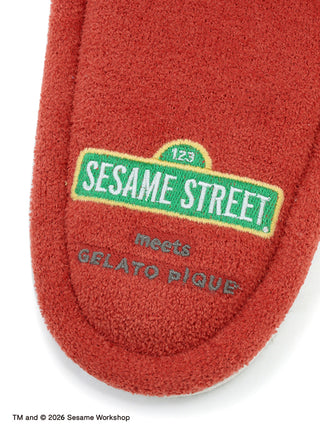 [SESAME STREET] Room Shoes