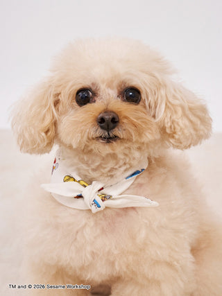 [SESAME STREET] [CAT＆DOG] Pet Bandana