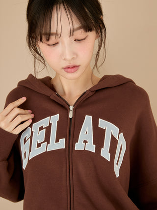 College Logo Hoodie