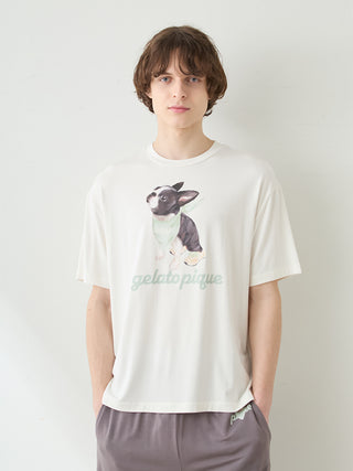 Men's Cool Rayon Boston Terrier T-shirt & Shorts Set