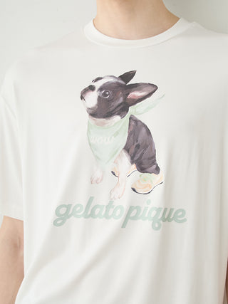 Men's Cool Rayon Boston Terrier T-shirt & Shorts Set