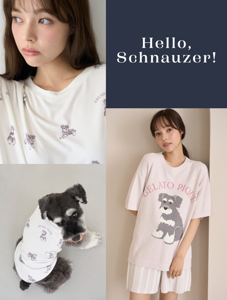 gelato pique Valentine’s Day Collection Valentines Day Collection 💕] Elevate your mood with the