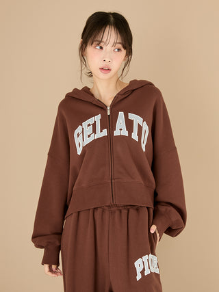 College Logo Hoodie