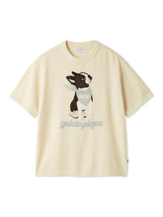 Men's Airy Moco Boston Terrier Jacquard Pullover