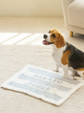 [CAT&DOG] Gelato Pique 2 Border Pet Blanket