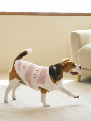 [CAT&DOG] XL-size Gelato Melange 2 Border Pet Pullover