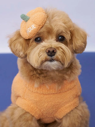 Toy poodle with [HALLOWEEN] [CAT&DOG] Pumpkin Hair Clip on