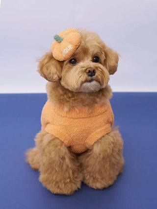 [HALLOWEEN] [CAT&DOG] Pumpkin Hair Clip - view 3