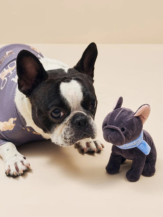 [CAT&DOG] Scarf Dog Motif Dog Toy - view 9