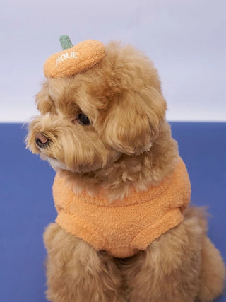 [HALLOWEEN] [CAT&DOG] Pumpkin Hair Clip - view 4