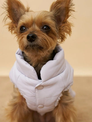 [CAT&DOG] Padded Pet Vest - view 3