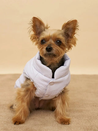[CAT&DOG] Padded Pet Vest - view 5