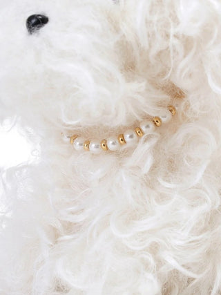 Fashionable Cats & Dogs Charm