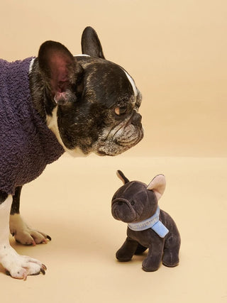 [CAT&DOG] Scarf Dog Motif Dog Toy - view 10