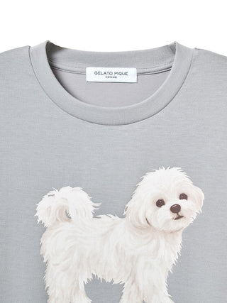 Men's Walking Dog One-point Printed Cool Touch T-Shirt