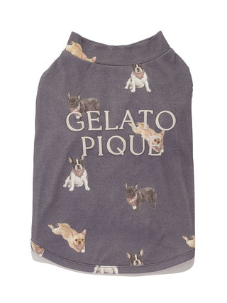 Gelato Pique [CAT&DOG] French Bulldog Cut-and-sew Pet Pullover in navy