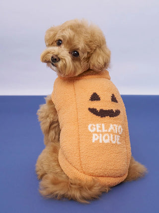 Toy Poodle wearing orange [HALLOWEEN] [CAT&DOG] Pumpkin Pullover