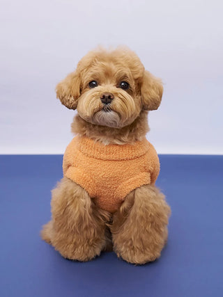 [HALLOWEEN] [CAT&DOG] Pumpkin Pullover - view 3