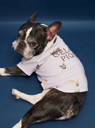 [CAT&DOG] French Bulldog Cut-and-sew Pet Pullover - view 8