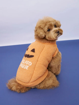 [HALLOWEEN] [CAT&DOG] Pumpkin Pullover - view 4