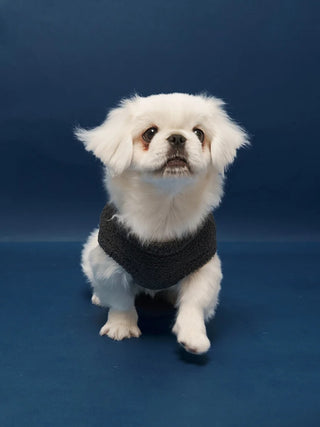 [CAT&DOG] Baby Moco Spaceship Pet Pullover - view 4