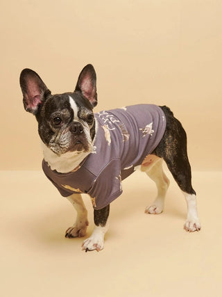 [CAT&DOG] French Bulldog Cut-and-sew Pet Pullover - view 4