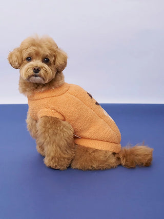 [HALLOWEEN] [CAT&DOG] Pumpkin Pullover - view 6