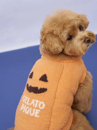[HALLOWEEN] [CAT&DOG] Pumpkin Pullover - view 7