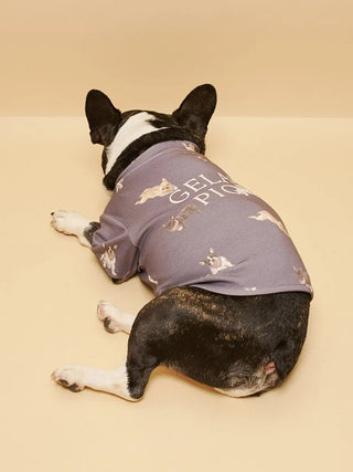 [CAT&DOG] French Bulldog Cut-and-sew Pet Pullover - view 6