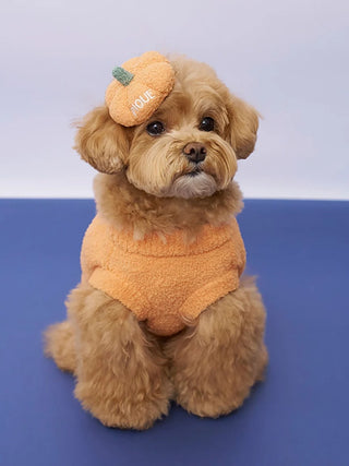[HALLOWEEN] [CAT&DOG] Pumpkin Pullover - view 8