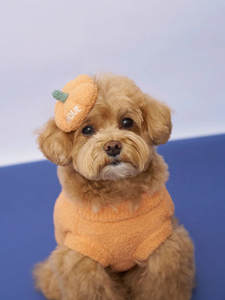 [HALLOWEEN] [CAT&DOG] Pumpkin Pullover - view 9