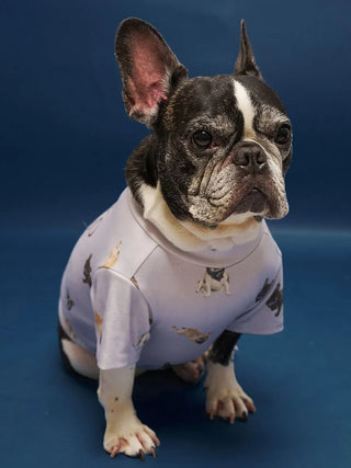 [CAT&DOG] French Bulldog Cut-and-sew Pet Pullover - view 10