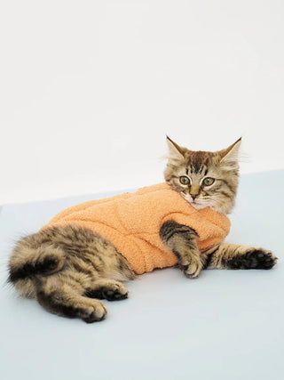 [HALLOWEEN] [CAT&DOG] Pumpkin Pullover - view 11