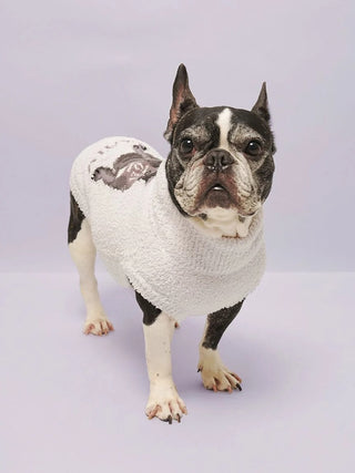 [CAT&DOG] Baby Moco French Bulldog Printed Pet Pullover - view 19