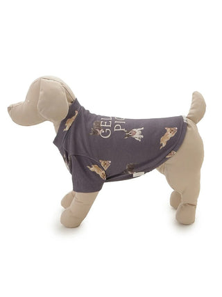 [CAT&DOG] French Bulldog Cut-and-sew Pet Pullover - view 24