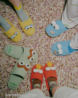 [SESAME STREET] Men's Room Shoes