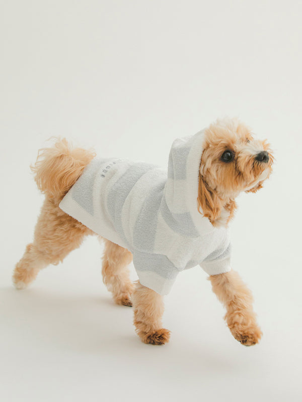 Small dog wearing gray and white striped hoodie, Gelato Pique Pet Wear, made of Smoothie material, cute and co