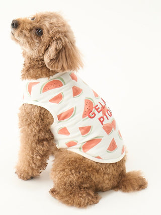 CAT&DOG Watermelon Motif Cool Pet Clothes- Premium Luxury Pet Apparel at Gelato Pique USA
